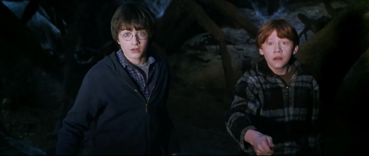 Harry’s Shirt – The Encounter with Aragog