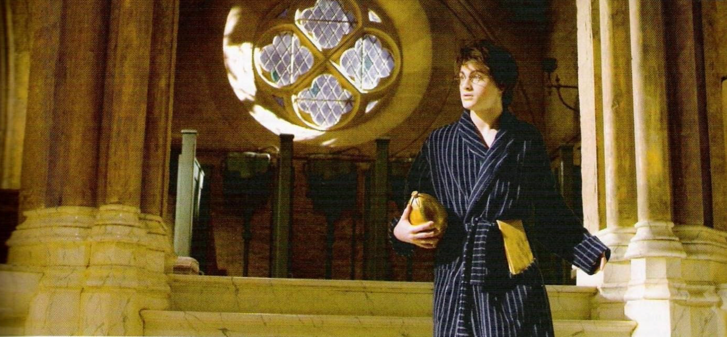 Harry’s Bathrobe - The Race Before the Second Task