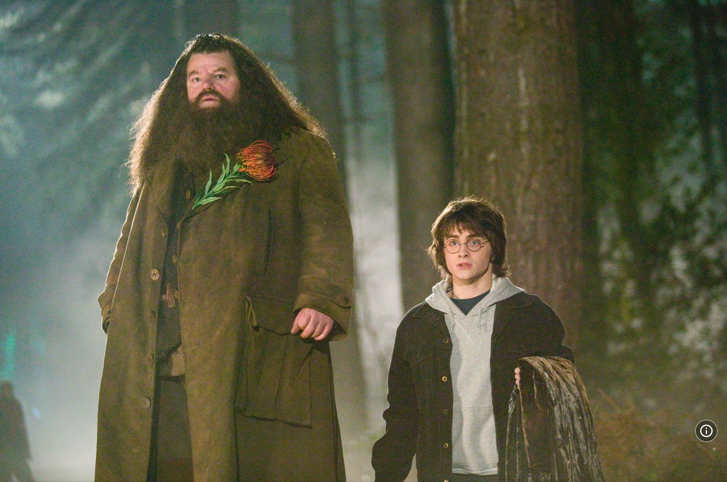Harry’s Grey Hoodie – The Secret of the Triwizard Dragons