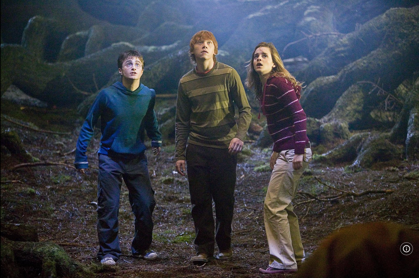 Harry’s Hoodie - Meet Hagrid's Half-Brother Grawp