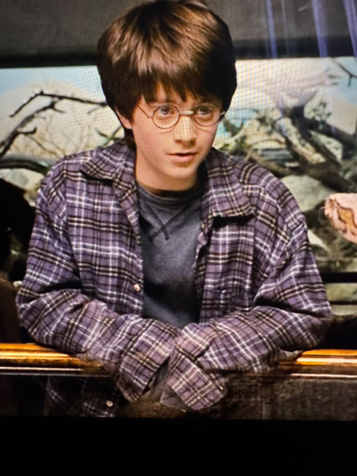 Harry Potter T-shirt in Zoo with Dursley's