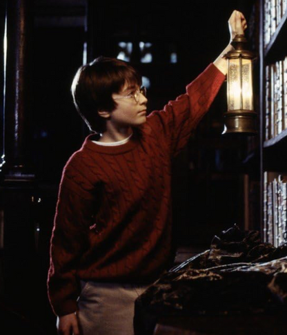 Harry Potter Red Sweater in Library
