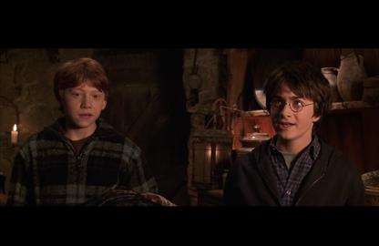 Ron’s Half-Zip Sweater – The Encounter with Aragog