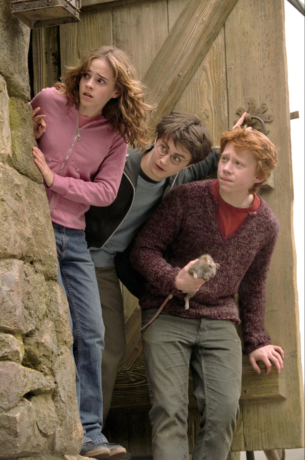 Ron's Sweater - The Truth About Sirius