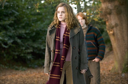 Ron's Cardigan - The Secret of the Triwizard Dragons