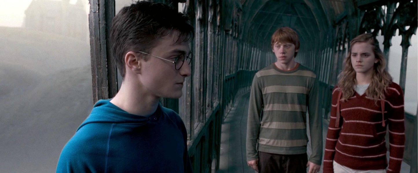 Ron’s Sweatshirt - Meet Hagrid's Half-Brother Grawp