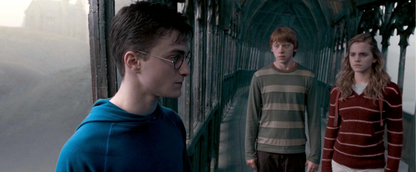 Ron’s Sweatshirt - Meet Hagrid's Half-Brother Grawp