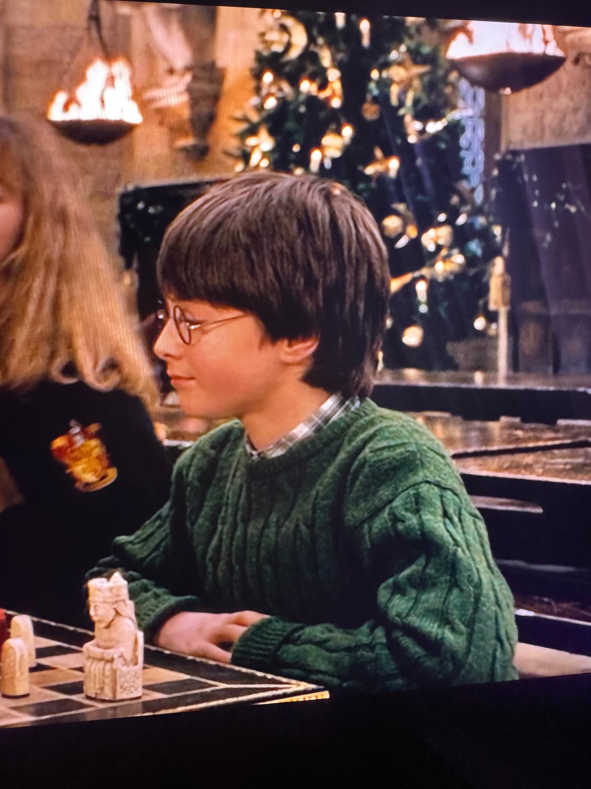 Harry Potter Christmas Holiday Sweater